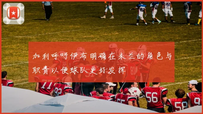 加利呼吁伊布明确在米兰的角色与职责以便球队更好发挥