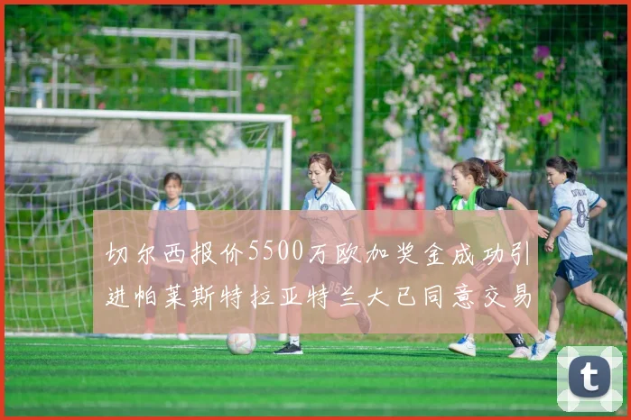 切尔西报价5500万欧加奖金成功引进帕莱斯特拉亚特兰大已同意交易