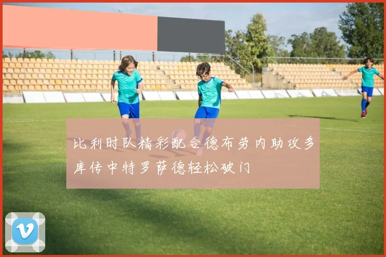 比利时队精彩配合德布劳内助攻多库传中特罗萨德轻松破门